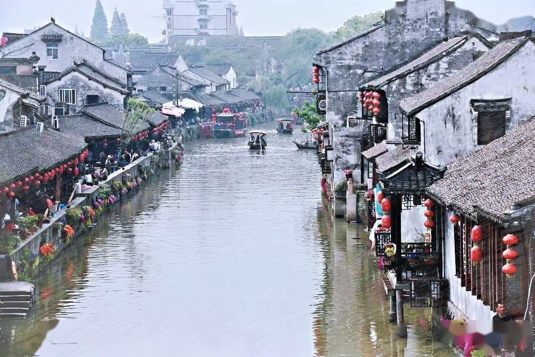 香椿吃不完放冰箱冻上还用不用先焯一下- 专业问答,简单解答